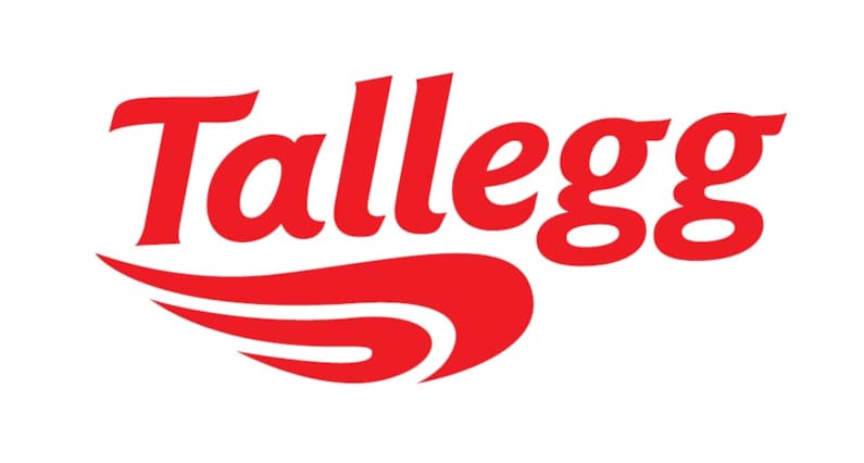 Tallegg logo