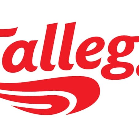 Tallegg logo
