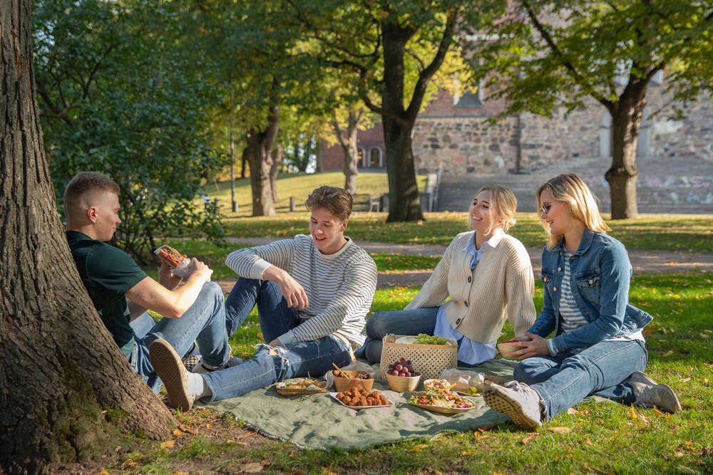 Picnic with friends, we make food from responsibly produced raw materials in the middle of the cleanest nature in the world.