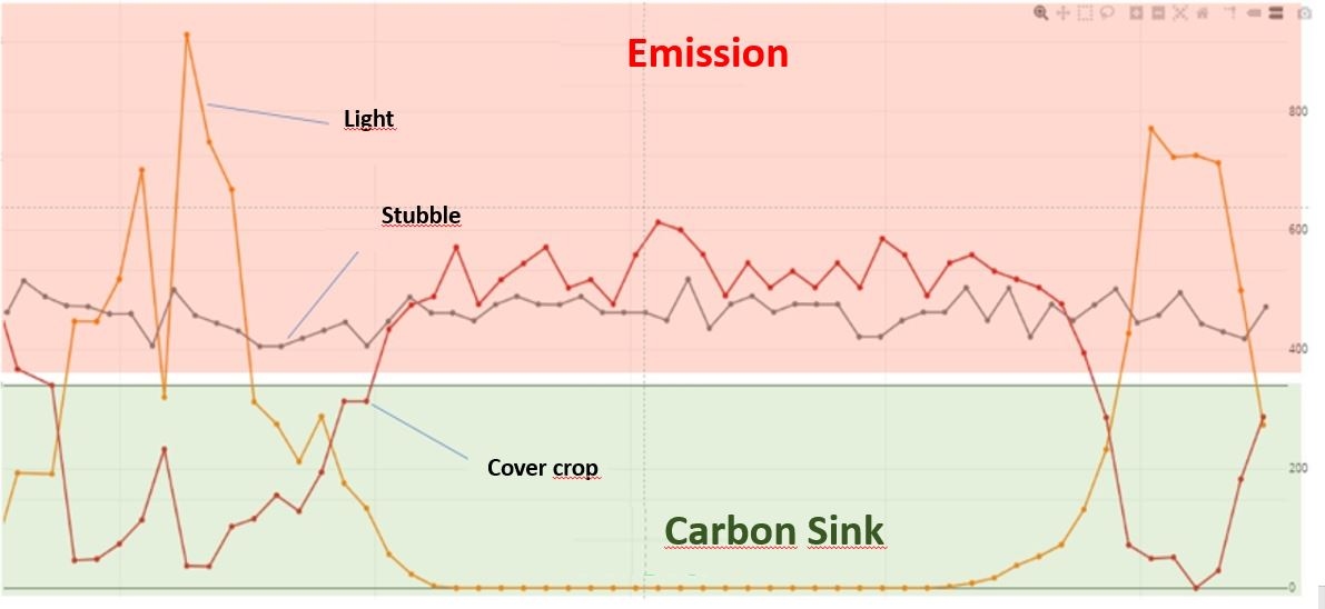 carbon-diagram.JPG