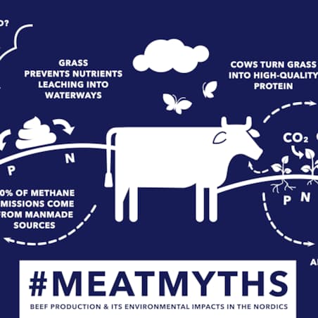 hkscan meatmyths infographics beef production in the nordics.jpg