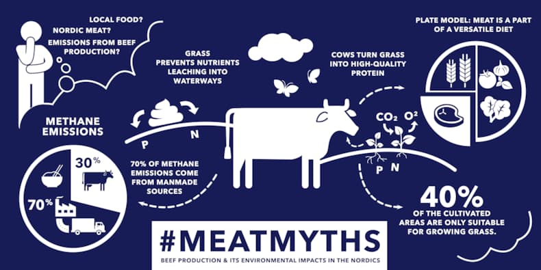 hkscan meatmyths infographics beef production in the nordics.jpg