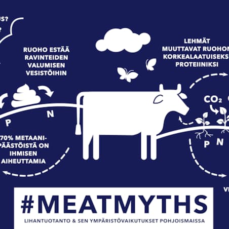 hkscan meatmyths infographics fin