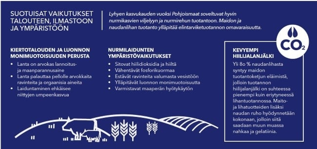 Lihantuotanto_Pohjoismaissa_web.JPG