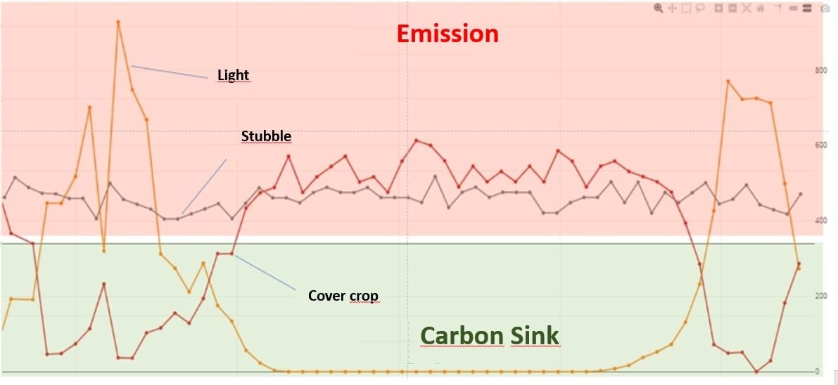 carbon-diagram.JPG