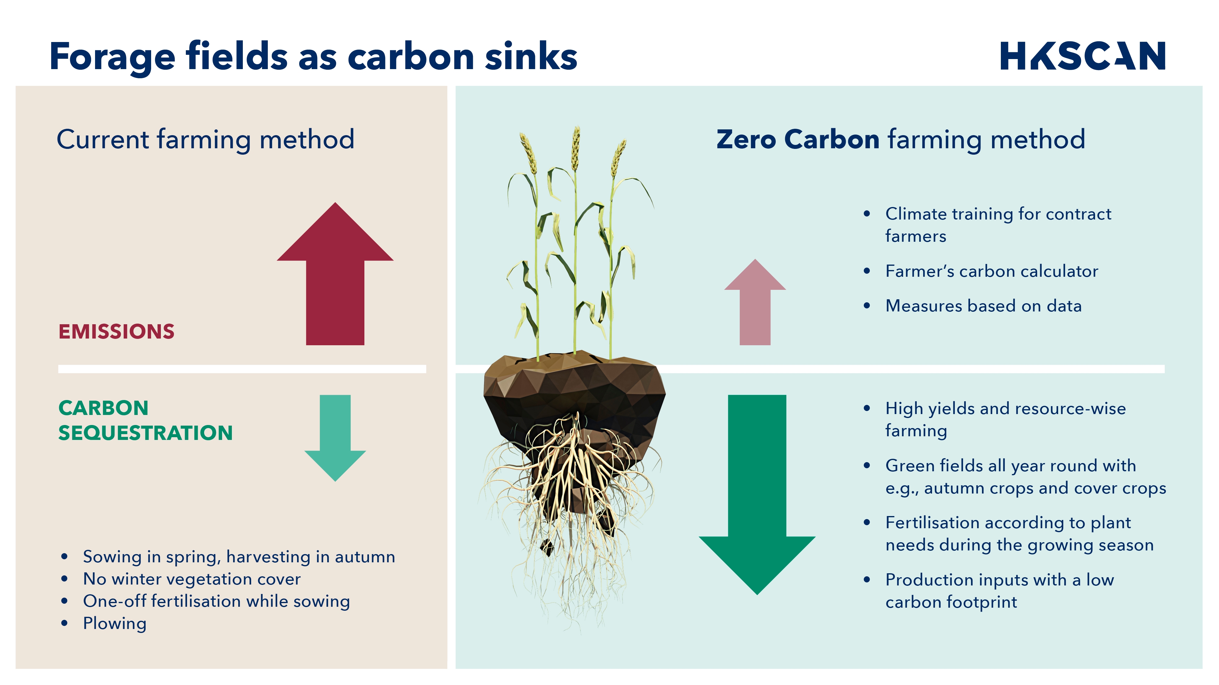 hkscan_infographic_carbon_sinks_v1.jpg